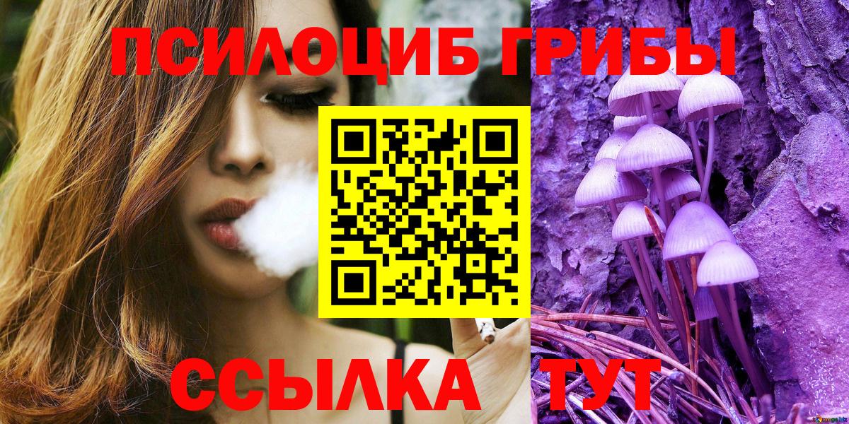 Губаха  Галлюциногенные грибы MAGIC MUSHROOMS  Вход с VPN  Псилоцибиновые грибы Psilocybe 
